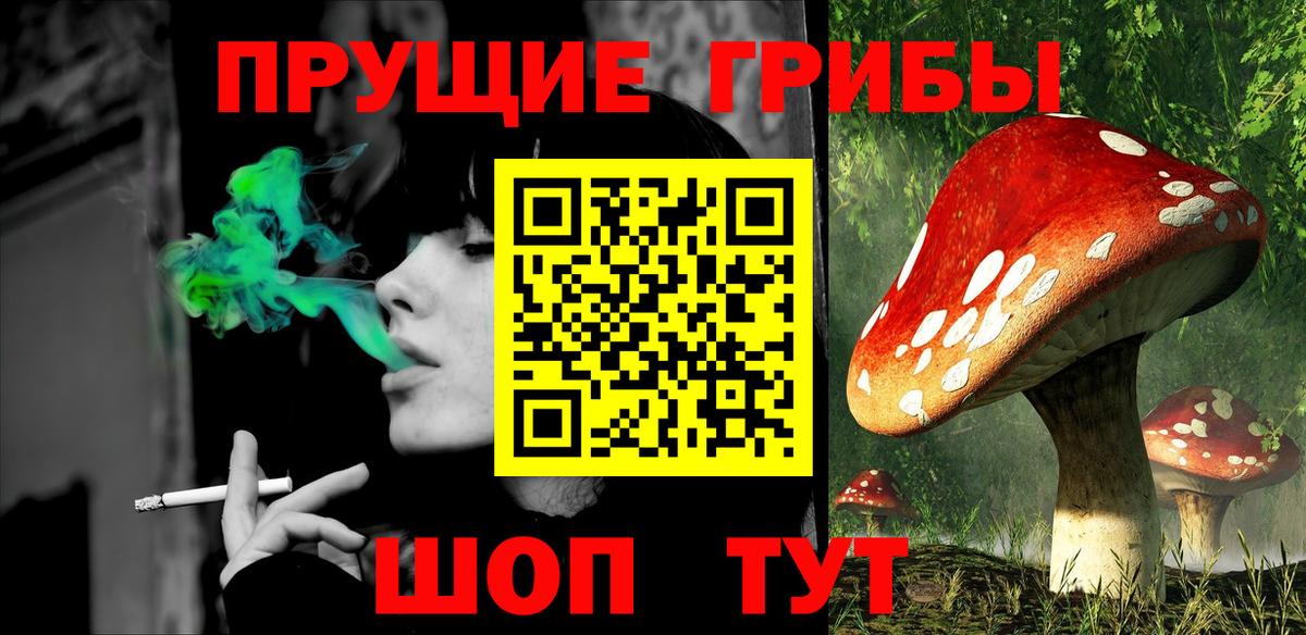 Людиново  Псилоцибиновые грибы Psilocybe  Вход с VPN 