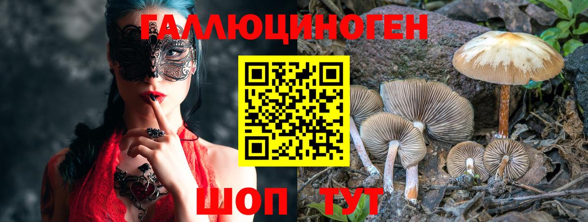 Псилоцибиновые грибы ЛСД Людиново
